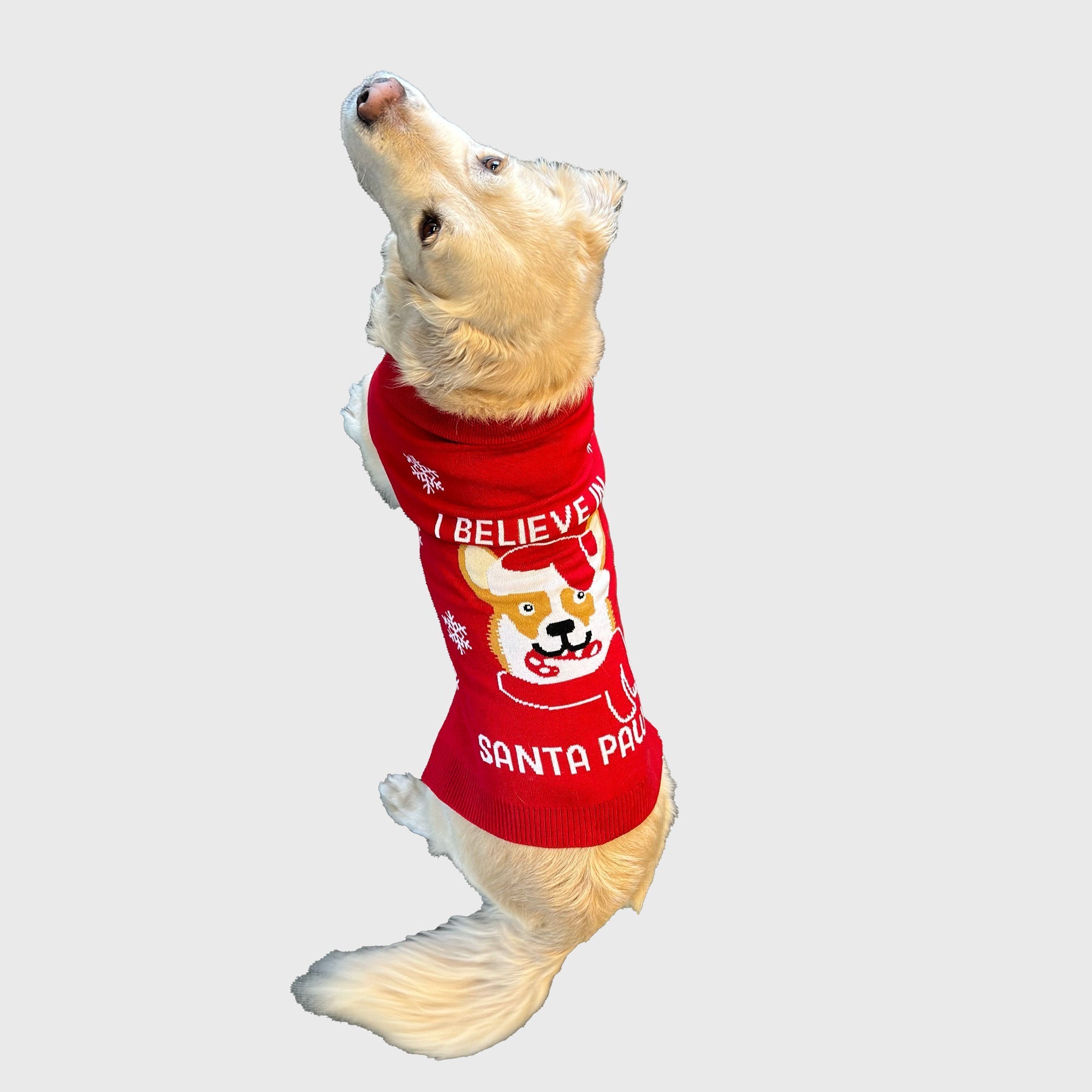 Santa paws Hunde-Weihnachtspullover